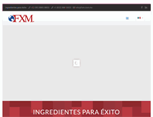 Tablet Screenshot of fxm.com.mx